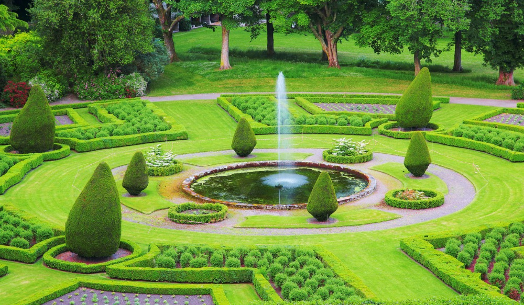 How to Design a Beautiful Garden – Complete Step-by-Step Guide